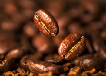 Café para exportação: o crédito de PIS/COFINS sobre frete que vira restituição de milhões